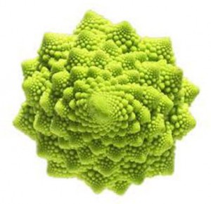 cruciferous-dolgolife