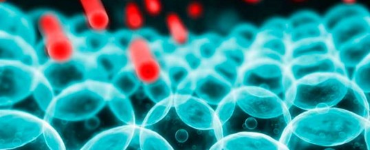 Искусственные сахарозаменители оказались опаснее, чем думали