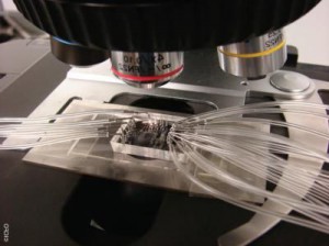 lab-on-chip-dolgolife